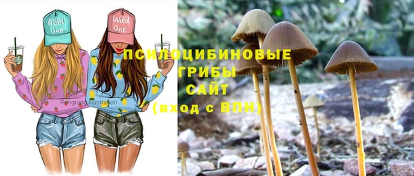 сатива Алексин