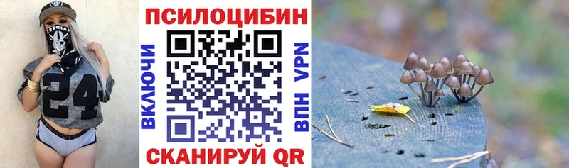 Псилоцибиновые грибы Psilocybe  цены наркотик  Беслан 